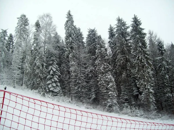 Viaje Estación Esquí Zakopane Polonia — Foto de Stock