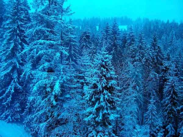 Viaje Estación Esquí Zakopane Polonia — Foto de Stock