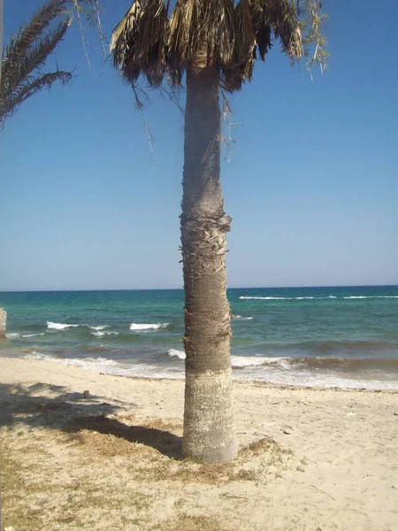 Travel Tunisia Sea — Stock Photo, Image
