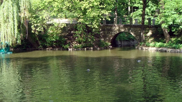 Paesaggio nel parco — Foto Stock