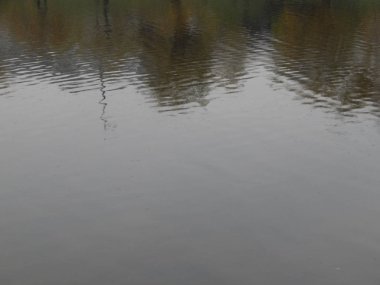 Bir nehir, yağmur, yüzey su doku