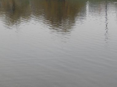 Bir nehir, yağmur, yüzey su doku