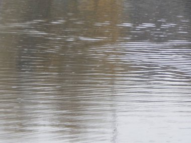 Bir nehir, yağmur, yüzey su doku