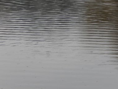 Bir nehir, yağmur, yüzey su doku