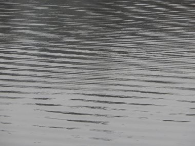 Bir nehir, yağmur, yüzey su doku