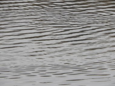 Bir nehir, yağmur, yüzey su doku