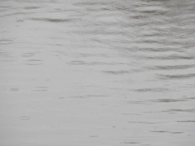 Bir nehir, yağmur, yüzey su doku