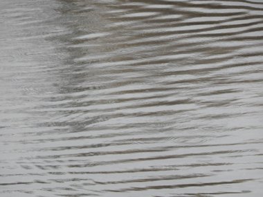 Bir nehir, yağmur, yüzey su doku