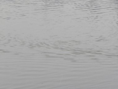 Bir nehir, yağmur, yüzey su doku