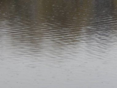 Bir nehir, yağmur, yüzey su doku