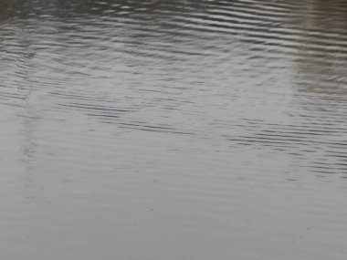 Bir nehir, yağmur, yüzey su doku