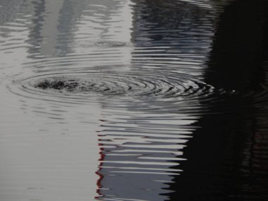 Bir nehir, yağmur, yüzey su doku