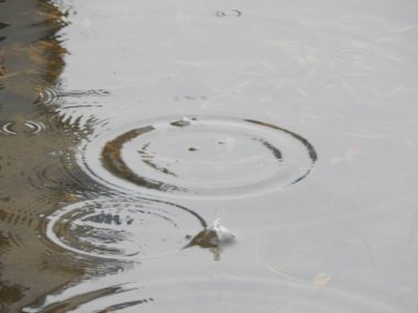 Bir nehir, yağmur, yüzey su doku