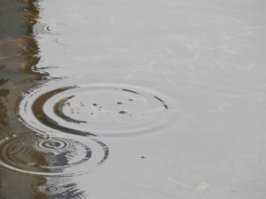 Bir nehir, yağmur, yüzey su doku