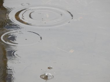 Bir nehir, yağmur, yüzey su doku