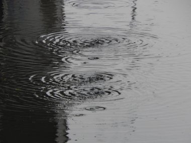 Bir nehir, yağmur, yüzey su doku