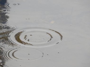 Bir nehir, yağmur, yüzey su doku