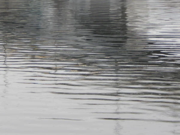 Textura Água Rio Superfície Chuva Manchas — Fotografia de Stock