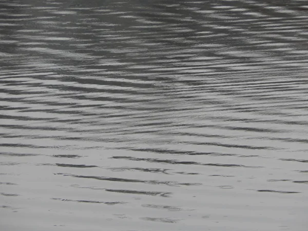 Bir nehir, yağmur, yüzey su doku