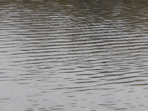 Textuur Van Water Een Rivier Oppervlak Regen Vlekken — Stockfoto