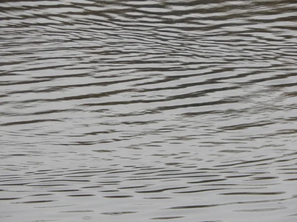 Bir nehir, yağmur, yüzey su doku