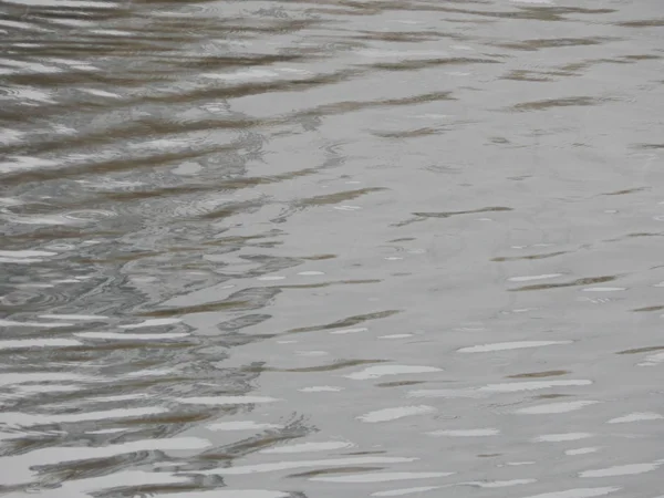 Bir nehir, yağmur, yüzey su doku