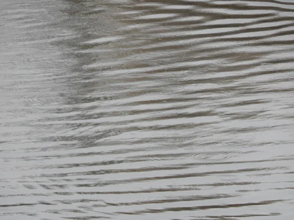 Bir nehir, yağmur, yüzey su doku