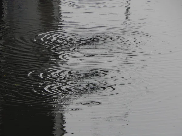 Bir nehir, yağmur, yüzey su doku