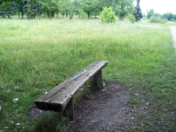 Le banc est situé dans le parc — Photo