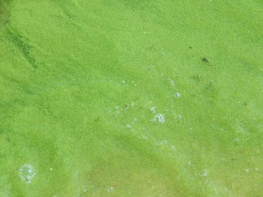 Panorama ve doku nehir