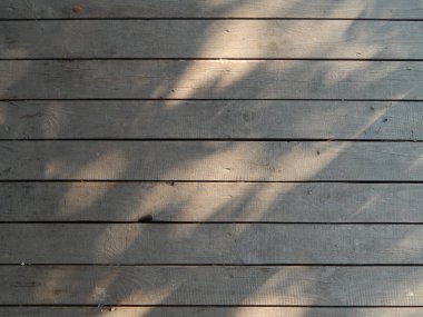 Ahşap doku Kereste ağaç Gaze.