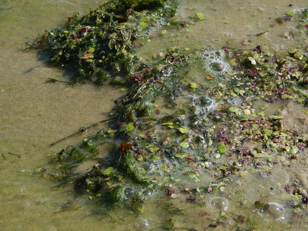 Texturen Marken — Stockfoto