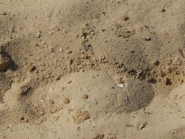 Textuur Van Grond — Stockfoto