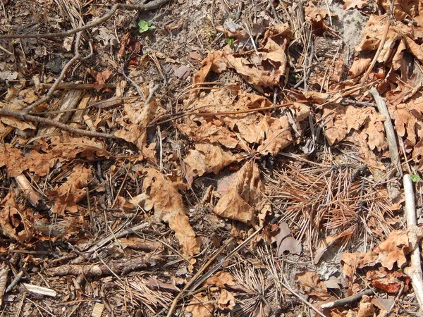 Consistenza Del Terreno — Foto Stock