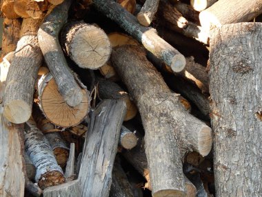 Ahşap doku Kereste ağaç Gaze.