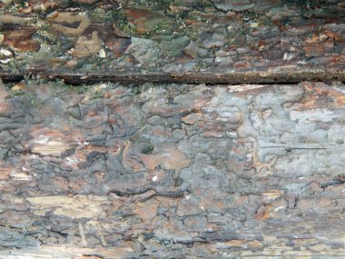 Ahşap ahşap doku kompozisyon