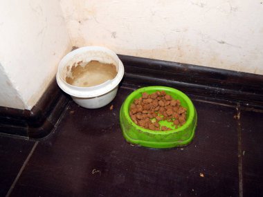 Yalak kedi maması ile besleme