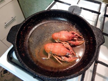 Tatil için farklı gıda