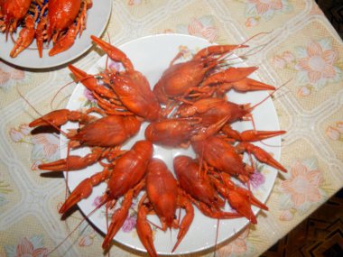 Tatil için farklı gıda