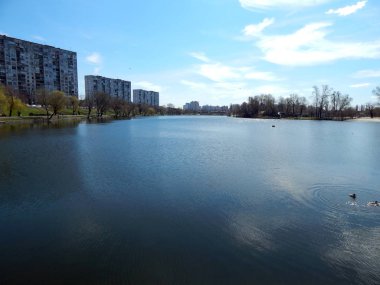 Arazi yüzeyi Orman Gölü