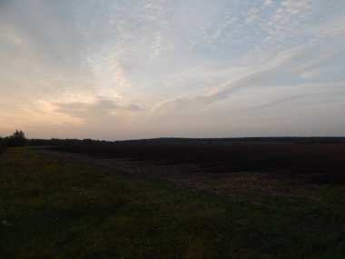 Alacakaranlıkta doğa orman ve alanları günbatımı