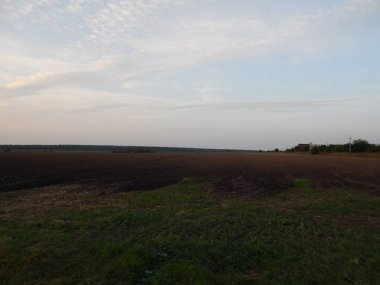 Alacakaranlıkta doğa orman ve alanları günbatımı