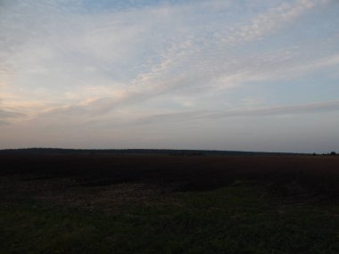 Alacakaranlıkta doğa orman ve alanları günbatımı