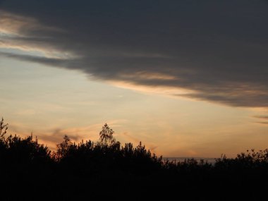 Alacakaranlıkta doğa orman ve alanları günbatımı