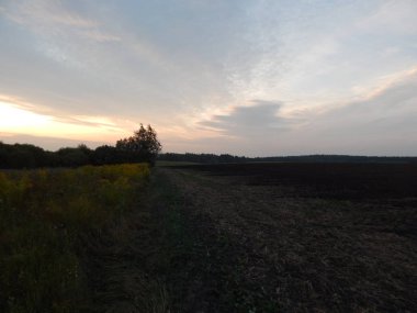 Alacakaranlıkta doğa orman ve alanları günbatımı