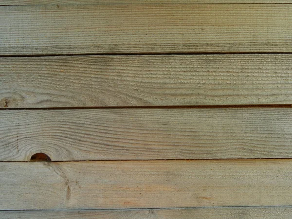 Madera Textura Madera Árbol Tala — Foto de Stock