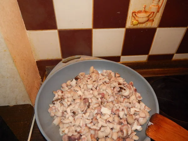 Collecter les champignons à la campagne dans les bois — Photo