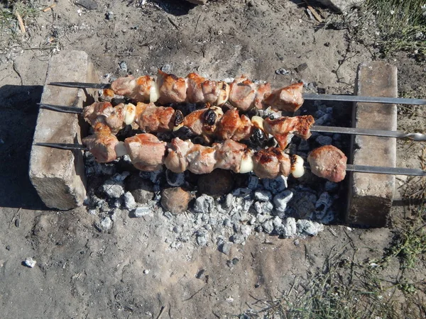 Shish Kebab Sobre Carbones Horneados — Foto de Stock
