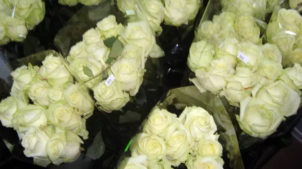Bukiety Kwiatów Tło Białe Piękny — Zdjęcie stockowe