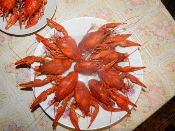 Comida Diferente Para Férias — Fotografia de Stock